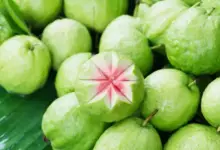 Is It Good To Eat Guava At Night? 10 Health Benefits Of Eating Guava At Night