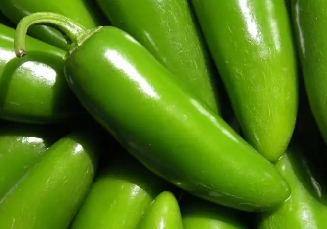 How To Store Fresh Jalapenos For Long-Term