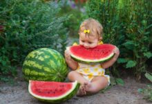 Is Watermelon Good For Babies