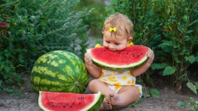 Is Watermelon Good For Babies