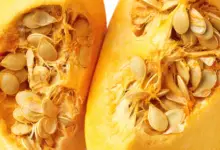 How to Dry Out Pumpkin Seeds for Planting