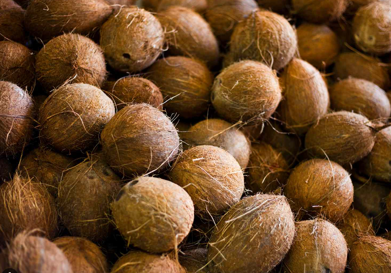 How To Store Fresh Coconut