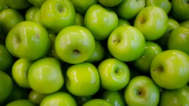 12 Incredible Health Benefits Of Green Apple