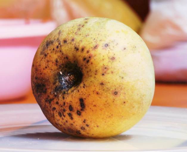 Can Overripe Mango Make You Sick