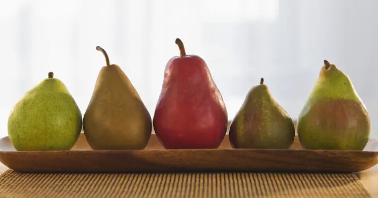 History of Pears: Here's Everything You Need to Know