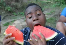 Are Watermelons Good For Weight Loss