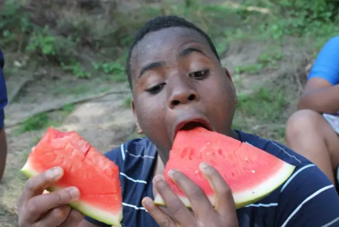 Are Watermelons Good For Weight Loss