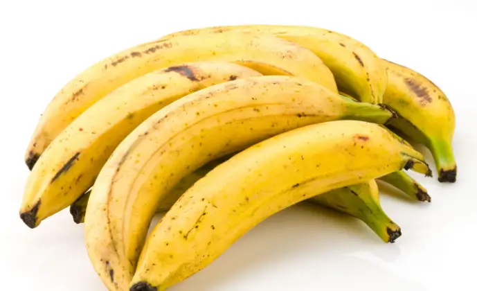 Are Plantains Good For Constipation