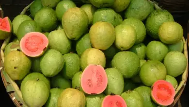 Is Guava Good For Pregnant Women