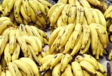 Are Bananas Good For AFib