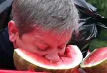 Is Watermelon Good For UTIs