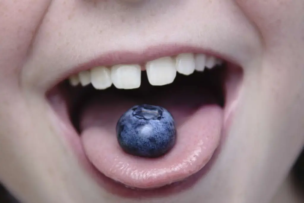 Fruits That Are Eaten Without Peeling, FruitoNix