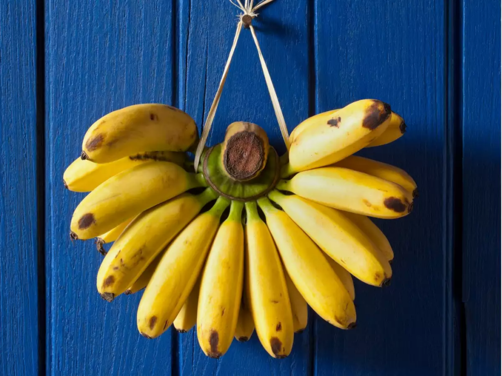 Bananas and Body Weight: Can Bananas Make You Fat Or Slim?