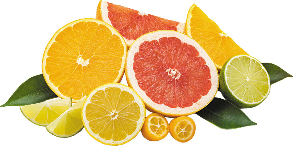 Health Benefits of Citrus Fruits