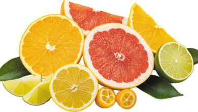 Health Benefits of Citrus Fruits