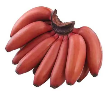 What Are Red Bananas