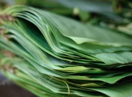 Banana Leaves For Cooking