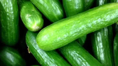 Does Cucumbers Raise Or Lower Your Blood Sugar