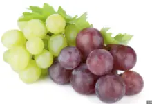 Can You Eat Grapes While Breastfeeding