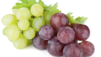 Can You Eat Grapes While Breastfeeding