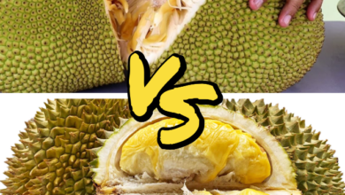 What Is The Difference Between Durian And Jackfruit