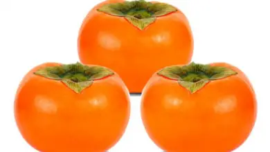 Are Persimmons Good For You