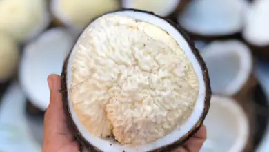 Surprising Benefits Of Eating Sprouted Coconut
