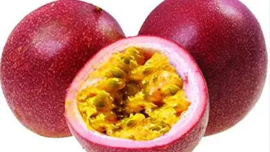 Red Passion Fruit