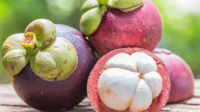 How To Tell When Mangosteen Is Ripe: Key Indicators