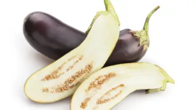 Can You Eat The Seeds Of An Eggplant? What Are The Benefits?