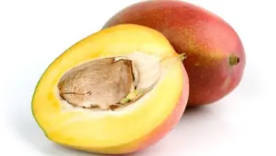 Can You Eat Mango Seeds