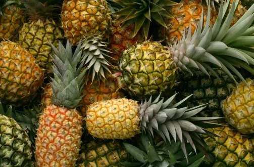 Is Pineapple A Man Made Fruit