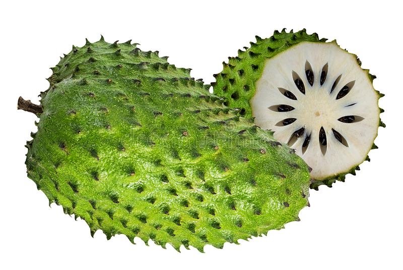 When Is Soursop In Season Around The World