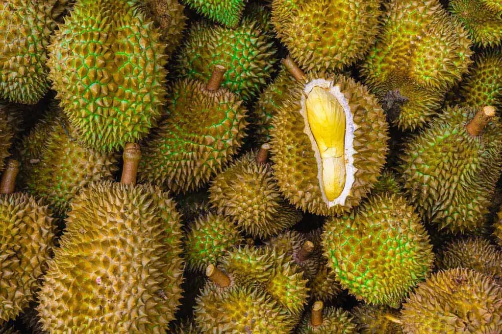 Why Durian Is The King Of Fruits