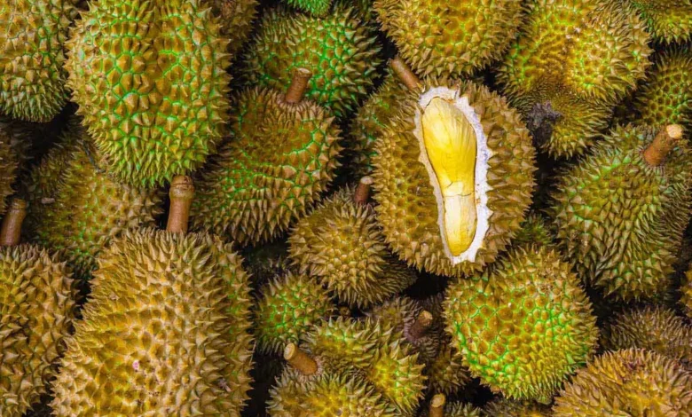 Why Durian Is The King Of Fruits