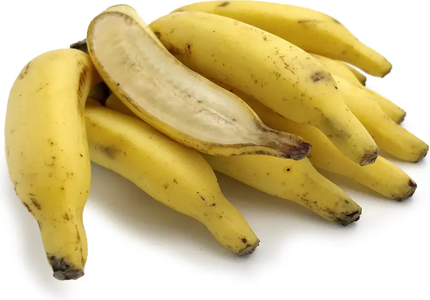 Best Tasting Banana Varieties, FruitoNix