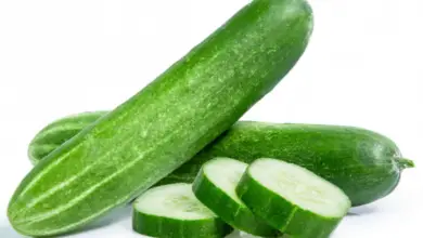 Is Cucumber Good For Blood Type O