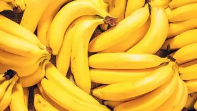 Are Bananas Monocot Or Dicot