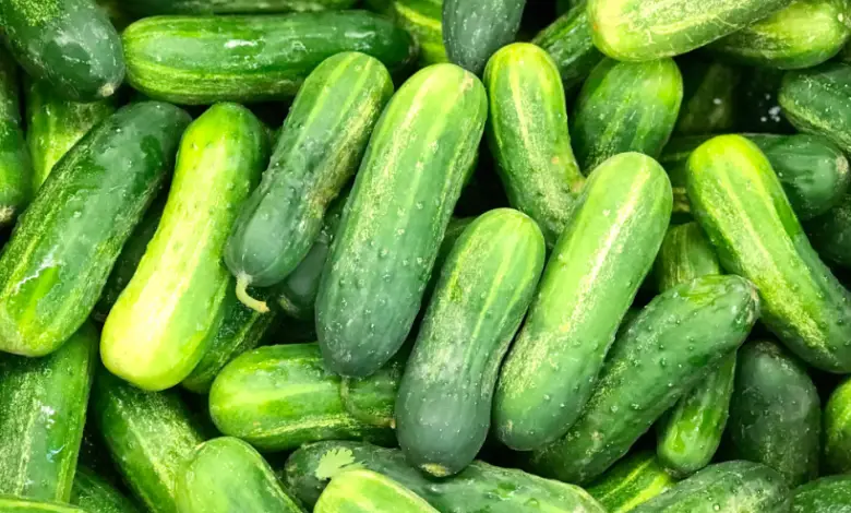 Is Cucumber Good For Fertility In Male And Female?