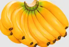 Reasons Why Bananas Are A Superfood