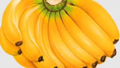 Reasons Why Bananas Are A Superfood