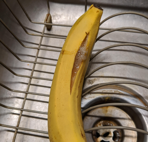 Why Are Bananas Splitting Open? And How To Stop It?