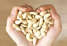 Benefits Of Eating Cashew On Empty Stomach