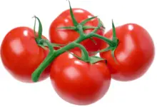 Do Tomatoes Cause Gas And Bloating