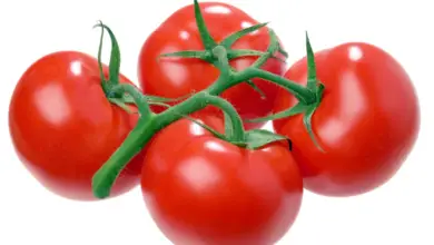 Do Tomatoes Cause Gas And Bloating