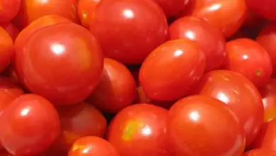 How Many Raw Tomatoes Should I Eat A Day