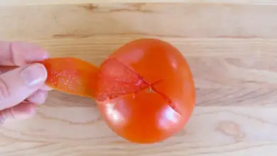 Is It Normal To See Tomato Skin In Stool