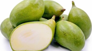 10 Disadvantages Of Eating Unripe Mango To Your Health