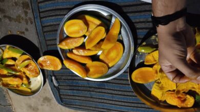 Does Eating Mangoes Cause Diarrhea. Mango And Diarrhea