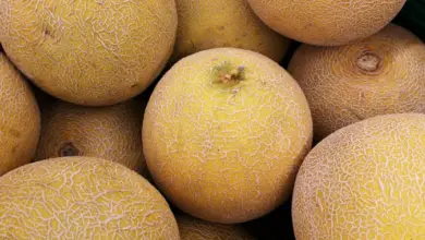 How To Pick Out A Ripe Cantaloupe